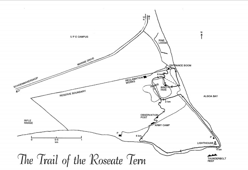 plan roseate tern hiking trail