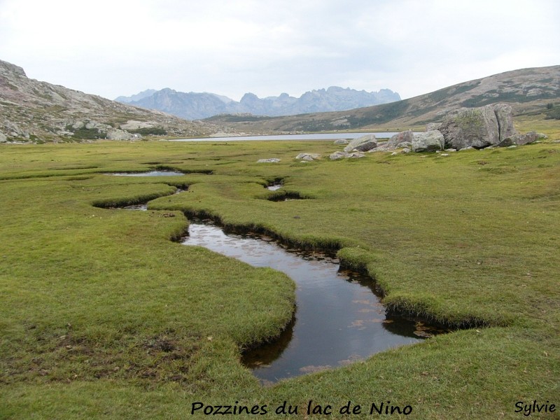 pozzines-lac-de-nino1