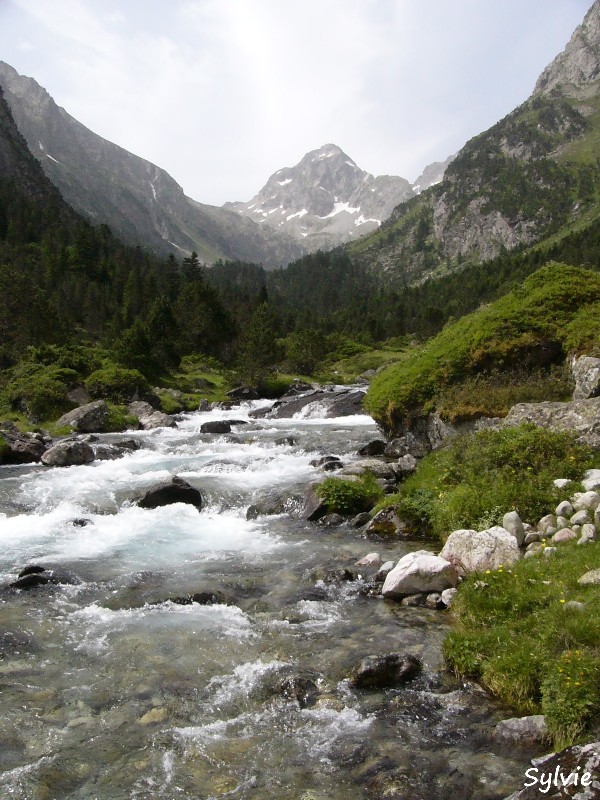 ruisseau-lac-destomJPG