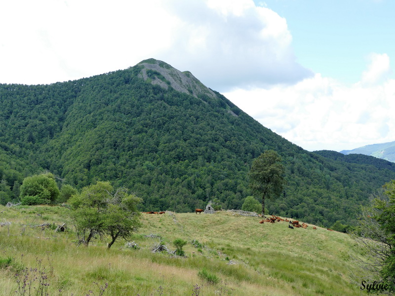 usclade puy griou4